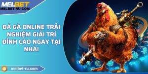 Đá gà online - Trải nghiệm giải trí đỉnh cao ngay tại nhà!