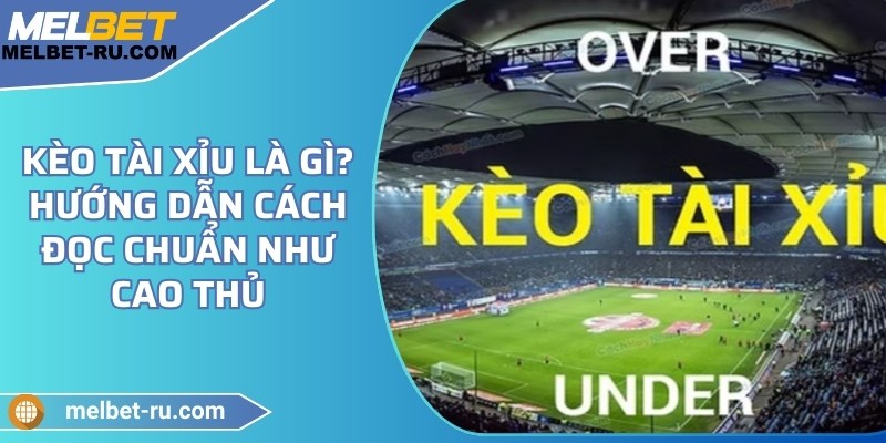 Kèo tài xỉu là gì? Hướng dẫn cách đọc chuẩn như cao thủ